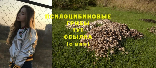 мефедрон Новодвинск