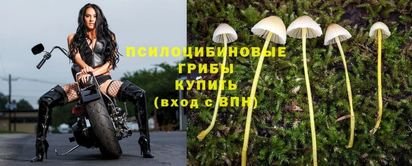 герыч Новокубанск