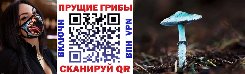 Псилоцибиновые грибы Cubensis Советск